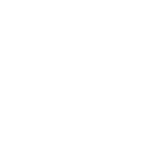 DUNLOP